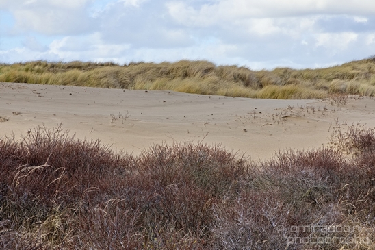 Zuid_Kennemerland_National_Park_nature_landscape_Photography_289_Canon_EOS_5D_Mark_IV.JPG
