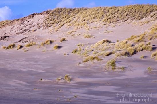 Zuid_Kennemerland_National_Park_nature_landscape_Photography_290_Canon_EOS_5D_Mark_IV.JPG