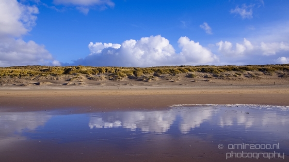 Zuid_Kennemerland_National_Park_nature_landscape_Photography_295_Canon_EOS_5D_Mark_IV.JPG