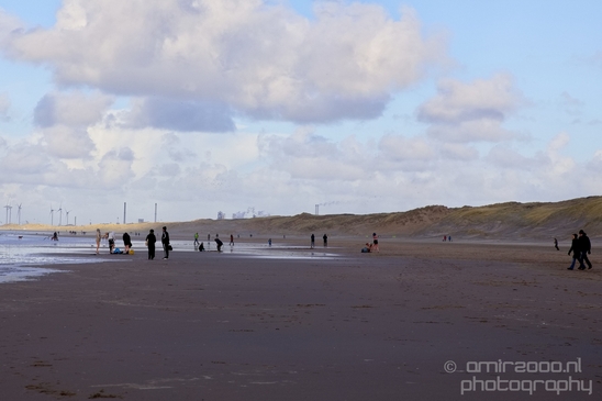 Zuid_Kennemerland_National_Park_nature_landscape_Photography_300_Canon_EOS_5D_Mark_IV.JPG