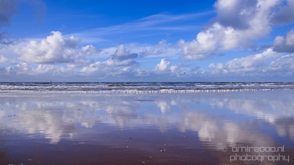 Zuid_Kennemerland_National_Park_nature_landscape_Photography_301_Canon_EOS_5D_Mark_IV.JPG