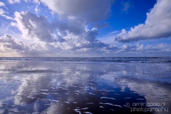 Zuid_Kennemerland_National_Park_nature_landscape_Photography_304_Canon_EOS_5D_Mark_IV.JPG