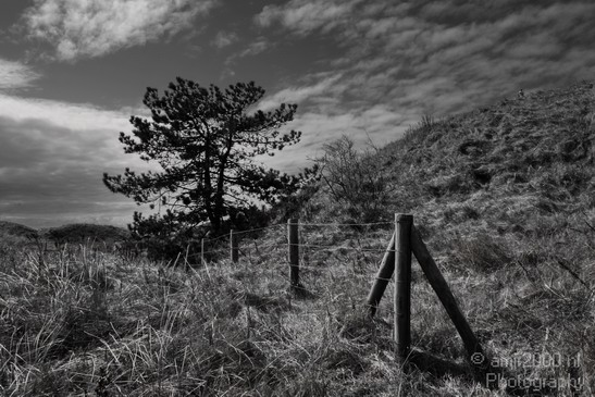 zaandvort_aan_zee_duinen_Nature_Landscape_Photography_001_Canon_EOS_400D_DIGITAL.JPG