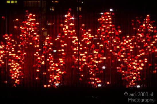 Amsterdam_Light_Night_Netherlands_Photography_001_Canon_EOS_5D_Mark_IV.JPG