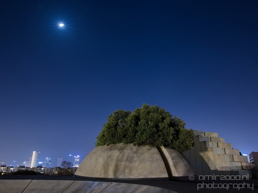 Levna_Square_Edith_Wolfson_Park_Tel_Israel_Night_Photography_003_Canon_EOS_5D_Mark_IV.JPG