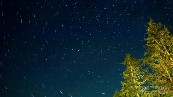 Night_Sky_the_stars_Port_Renfrew_British_Columbia_Canada_Photography_001_Canon_EOS_5D_Mark_IV.JPG