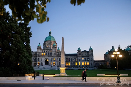 Victoria_at_night_city_nature_urban_Vancouver_Island_British_Colombia_Canada_Photography_004_Canon_EOS_5D_Mark_IV.JPG
