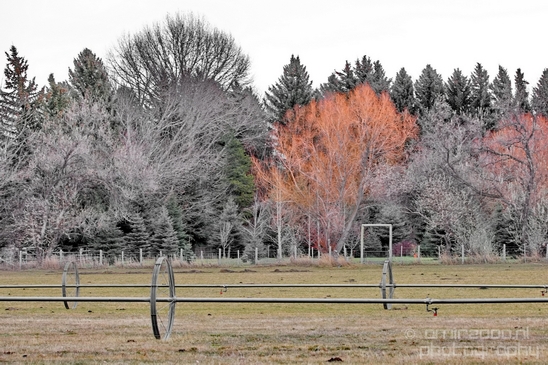 Idaho_Falls_USA_city_urban_landscape_North_America_Cities_Photography_006_Canon_EOS_5D_Mark_IV.JPG