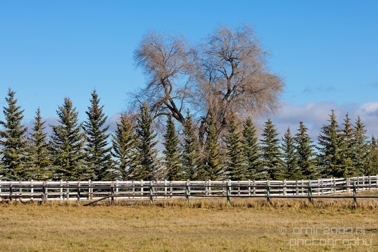 Idaho_Falls_USA_city_urban_landscape_North_America_Cities_Photography_009_Canon_EOS_5D_Mark_IV.JPG