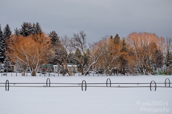 Idaho_Falls_USA_winter_scenery_North_America_Cities_Photography_036_Canon_EOS_5D_Mark_IV.JPG