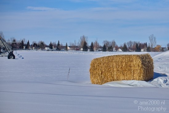 Idaho_Falls_USA_winter_scenery_North_America_Cities_Photography_048_Canon_EOS_5D_Mark_IV.JPG