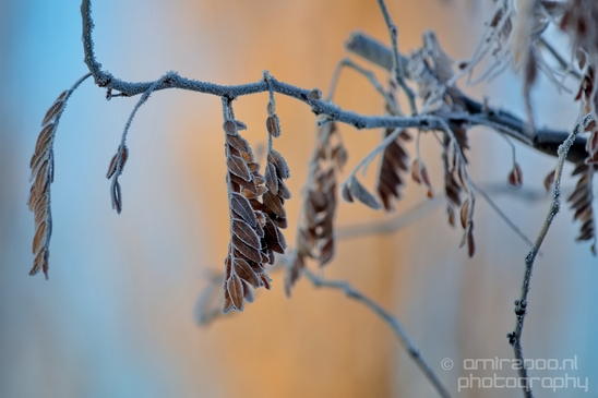Idaho_Falls_USA_winter_scenery_urban_city_landscape_North_America_Cities_Photography_025_Canon_EOS_5D_Mark_IV.JPG