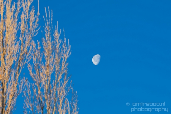 Idaho_Falls_USA_winter_scenery_urban_city_landscape_North_America_Cities_Photography_026_Canon_EOS_5D_Mark_IV.JPG