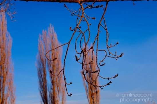 Idaho_Falls_USA_winter_scenery_urban_city_landscape_North_America_Cities_Photography_030_Canon_EOS_5D_Mark_IV.JPG