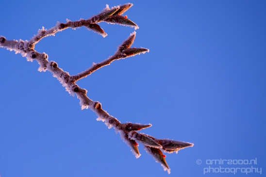 Idaho_Falls_USA_winter_scenery_urban_city_landscape_North_America_Cities_Photography_031_Canon_EOS_5D_Mark_IV.JPG