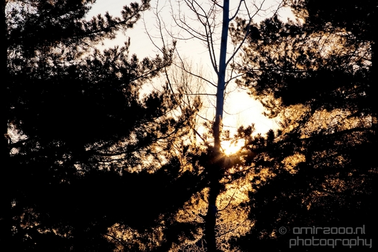Idaho_Falls_USA_winter_scenery_urban_city_landscape_North_America_Cities_Photography_034_Canon_EOS_5D_Mark_IV.JPG