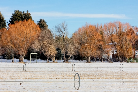 Idaho_Falls_USA_winter_scenery_urban_city_landscape_North_America_Cities_Photography_035_Canon_EOS_5D_Mark_IV.JPG