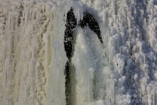 Idaho_Falls_USA_winter_scenery_urban_city_landscape_North_America_Cities_Photography_040_Canon_EOS_5D_Mark_IV.JPG