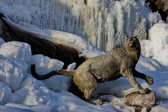 Idaho_Falls_USA_winter_scenery_urban_city_landscape_North_America_Cities_Photography_042_Canon_EOS_5D_Mark_IV.JPG