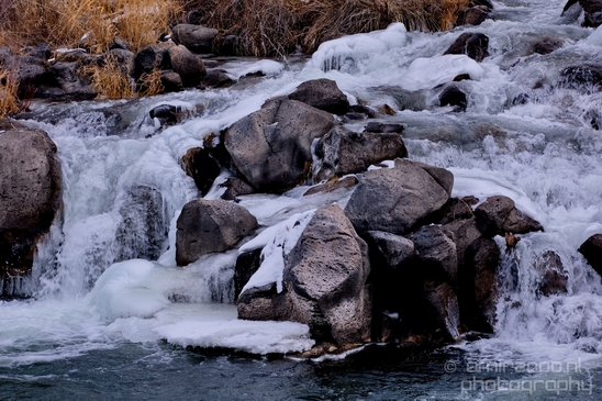 Idaho_Falls_USA_winter_scenery_urban_city_landscape_North_America_Cities_Photography_060_Canon_EOS_5D_Mark_IV.JPG