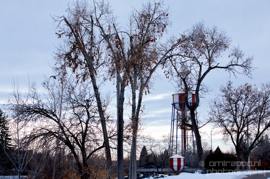 Idaho_Falls_USA_winter_scenery_urban_city_landscape_North_America_Cities_Photography_061_Canon_EOS_5D_Mark_IV.JPG