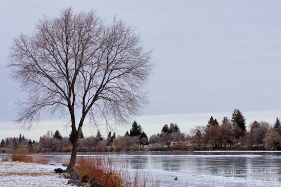 Idaho_Falls_USA_winter_scenery_urban_city_landscape_North_America_Cities_Photography_063_Canon_EOS_5D_Mark_IV.JPG
