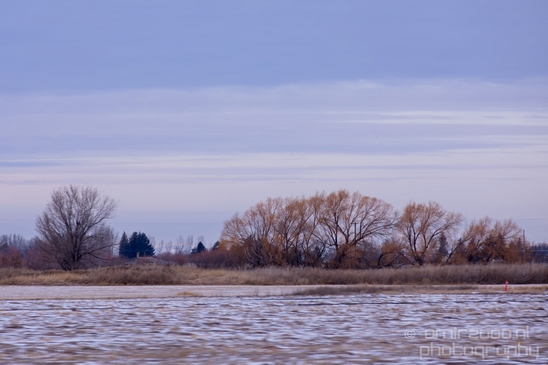Idaho_Falls_USA_winter_scenery_urban_city_landscape_North_America_Cities_Photography_068_Canon_EOS_5D_Mark_IV.JPG
