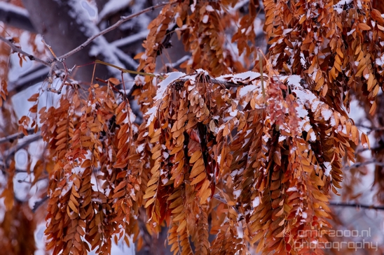 Idaho_Falls_USA_winter_scenery_urban_city_landscape_North_America_Cities_Photography_070_Canon_EOS_5D_Mark_IV.JPG
