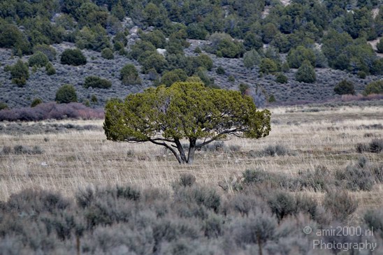 Landscape_Idaho_USA_North_America_Cities_Photography_001_Canon_EOS_7D.JPG
