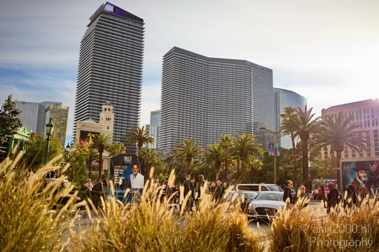 Las_Vegas_Nevada_city_Usa_North_America_Cities_Photography_007_Canon_EOS_5D_Mark_IV.JPG