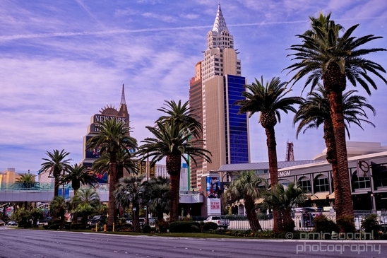 Las_Vegas_Nevada_city_urban_Usa_North_America_Cities_Photography_011_Canon_EOS_5D_Mark_IV.JPG