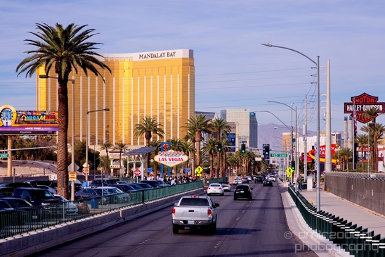 Las_Vegas_Nevada_city_urban_Usa_North_America_Cities_Photography_014_Canon_EOS_5D_Mark_IV.JPG