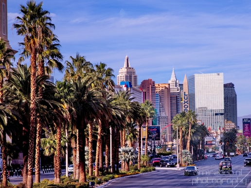 Las_Vegas_Nevada_city_urban_Usa_North_America_Cities_Photography_015_Canon_EOS_5D_Mark_IV.JPG
