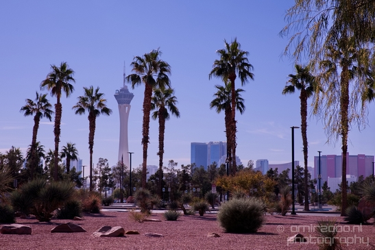 Las_Vegas_Nevada_city_urban_Usa_North_America_Cities_Photography_067_Canon_EOS_5D_Mark_IV.JPG