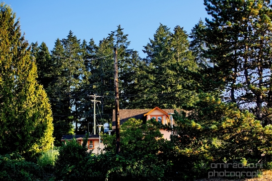 Nanaimo_city_nature_landsacpe_Vancouver_Island_Canada_North_America_Cities_Photography_029_Canon_EOS_5D_Mark_IV.JPG