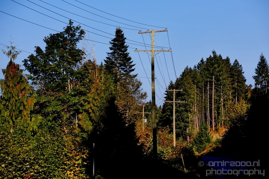 Nanaimo_city_nature_landsacpe_Vancouver_Island_Canada_North_America_Cities_Photography_031_Canon_EOS_5D_Mark_IV.JPG