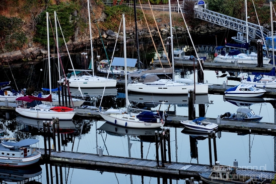 Nanaimo_city_nature_landsacpe_Vancouver_Island_Canada_North_America_Cities_Photography_033_Canon_EOS_5D_Mark_IV.JPG