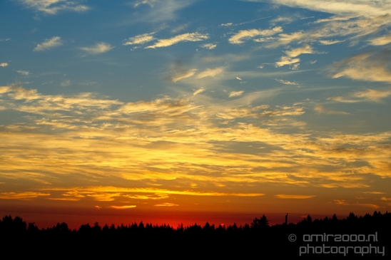 Nanaimo_city_nature_landsacpe_Vancouver_Island_Canada_North_America_Cities_Photography_041_Canon_EOS_5D_Mark_IV.JPG
