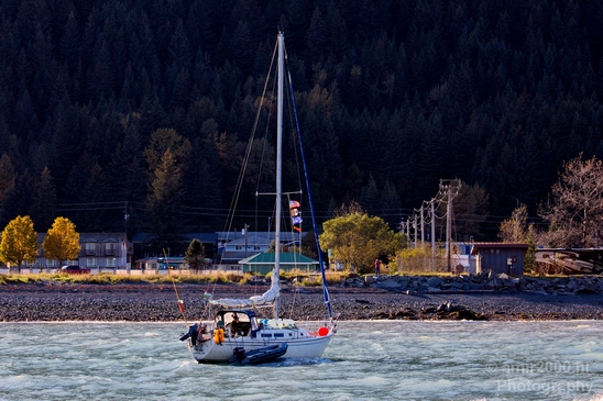 Seward_Alaska_north_America_USA_urban_Cities_Photography_025_Canon_EOS_5D_Mark_IV.JPG