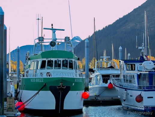 Seward_Alaska_north_America_USA_urban_Cities_Photography_027_Canon_EOS_5D_Mark_IV.JPG