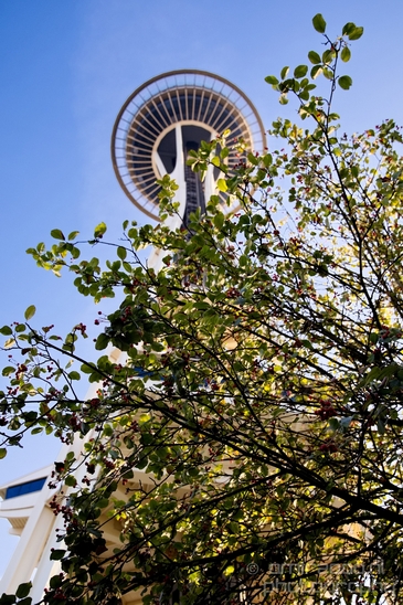 Space_Needle_Seattle_Washington_state_city_urban_Usa_North_America_Cities_Photography_017_Canon_EOS_5D_Mark_IV.JPG