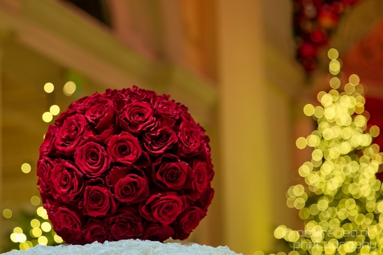 The_Bellagio_Gardens_Light_Up_With_A_Nutcracker_Theme_Las_Vegas_USA_Nevada_North_America_Cities_Photography_003_Canon_EOS_5D_Mark_IV.JPG