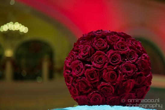 The_Bellagio_Gardens_Light_Up_With_A_Nutcracker_Theme_Las_Vegas_USA_Nevada_North_America_Cities_Photography_004_Canon_EOS_5D_Mark_IV.JPG