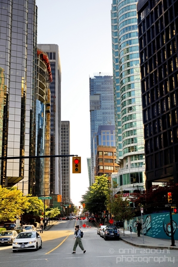 Vancouver_city_nature_urban_British_Colombia_Canada_North_America_Cities_Photography_012_Canon_EOS_5D_Mark_IV.JPG