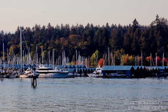 Vancouver_city_nature_urban_British_Colombia_Canada_North_America_Cities_Photography_032_Canon_EOS_5D_Mark_IV.JPG