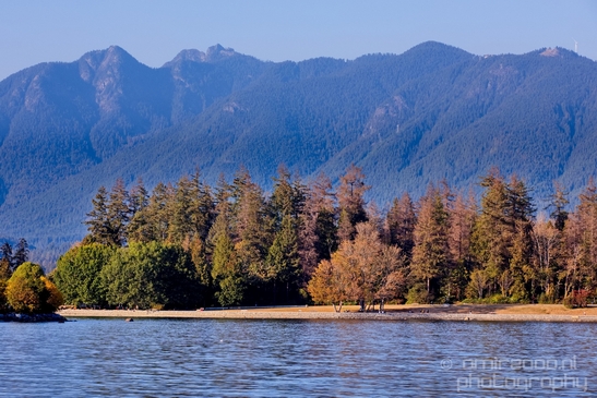 Vancouver_city_nature_urban_British_Colombia_Canada_North_America_Cities_Photography_038_Canon_EOS_5D_Mark_IV.JPG