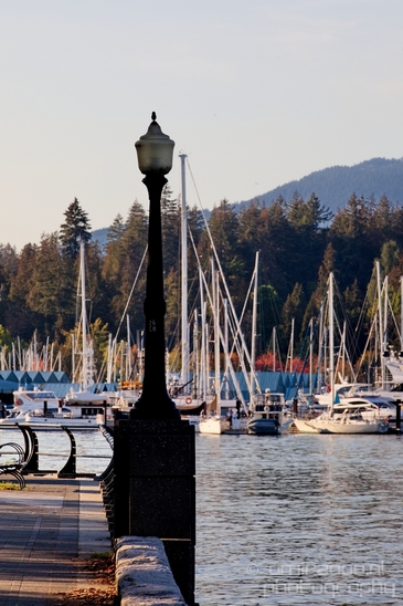 Vancouver_city_nature_urban_British_Colombia_Canada_North_America_Cities_Photography_039_Canon_EOS_5D_Mark_IV.JPG