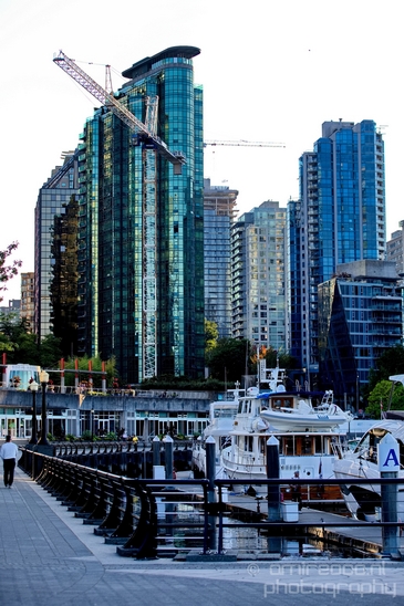 Vancouver_city_nature_urban_British_Colombia_Canada_North_America_Cities_Photography_050_Canon_EOS_5D_Mark_IV.JPG
