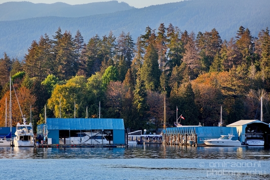 Vancouver_city_nature_urban_British_Colombia_Canada_North_America_Cities_Photography_051_Canon_EOS_5D_Mark_IV.JPG