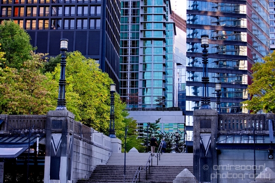 Vancouver_city_nature_urban_British_Colombia_Canada_North_America_Cities_Photography_055_Canon_EOS_5D_Mark_IV.JPG